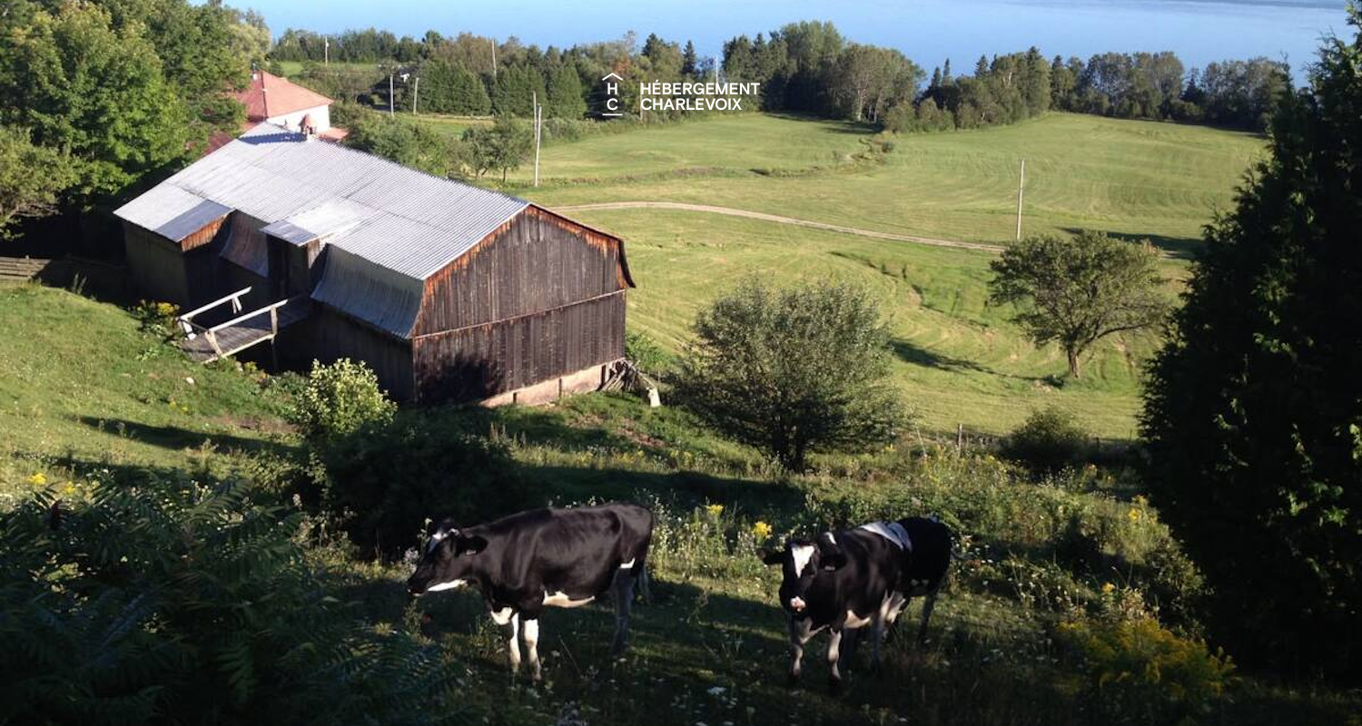 BRI-242 - Un cadre naturel d'exception avec vue sur le fleuve!!